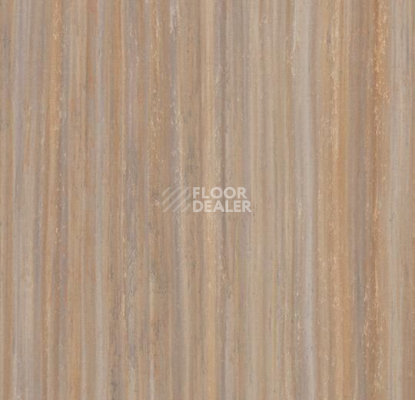 Линолеум Forbo Marmoleum Linear Striato Original 5225 compressed time фото 1 | FLOORDEALER